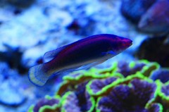 10326262160700042500_11fq6nv5la