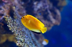 10334321762800042500_15izwv7vla