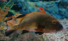 10227493474600042500_jj68uprdla