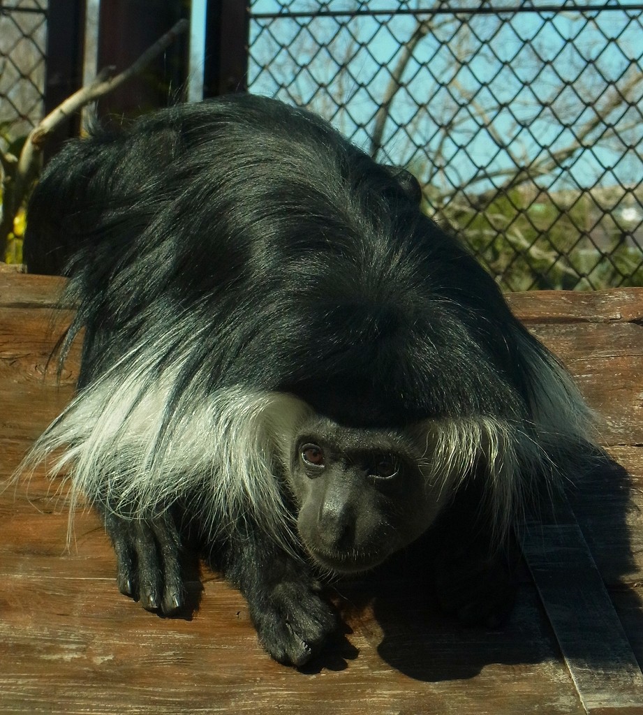 10130486635700042500_fadbdjl2la