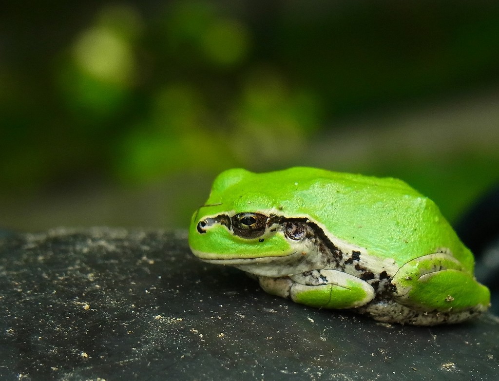 10131920000200042500_auu0e31qla