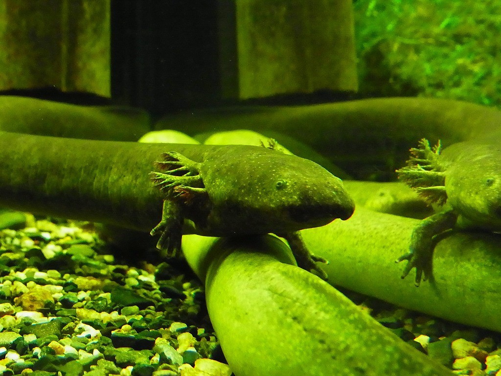 10134236140000042500_l77ffqzhla