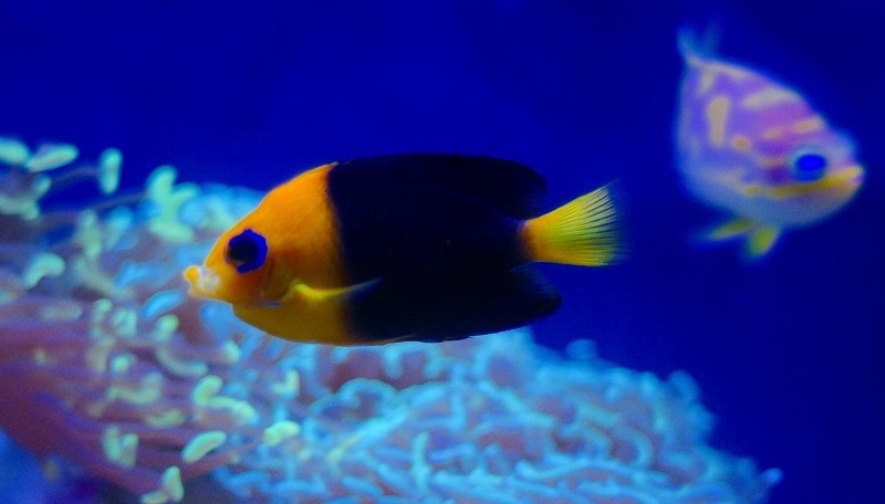 10229138599400042500_k9x13mnhla