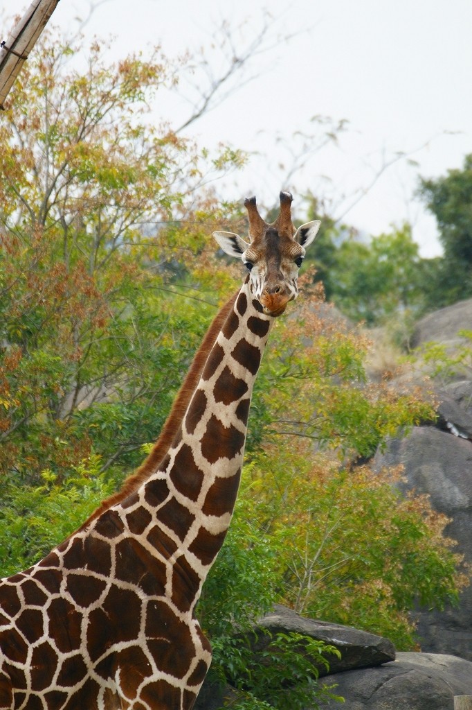 10330201660400042500_fh3axbsnla