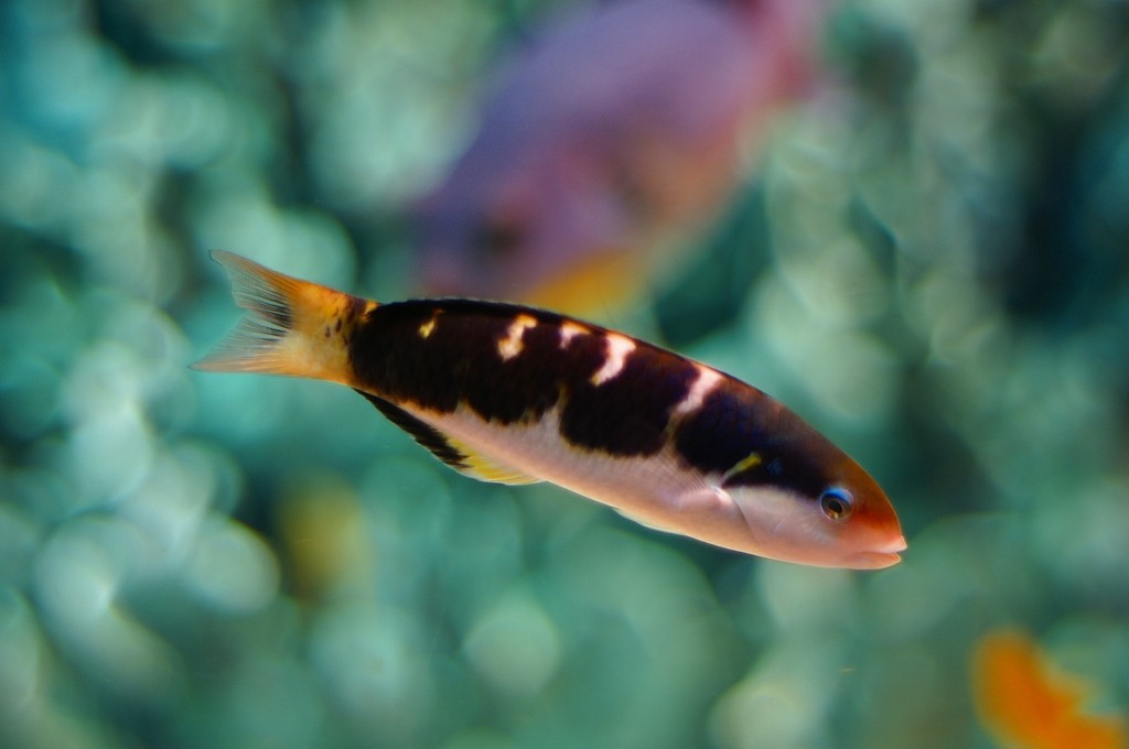 10233467271000042500_25g6dd64la