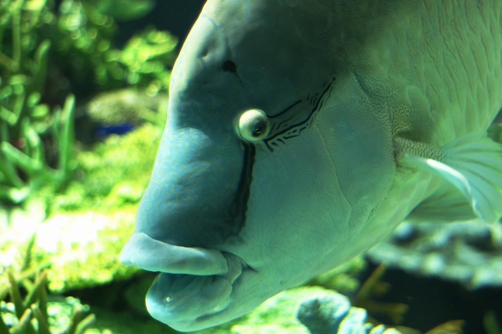 10236756060300042500_0z6nc894la