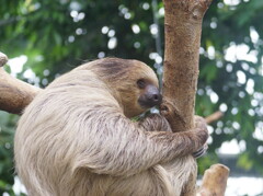 いい夢　見ろよ　その7