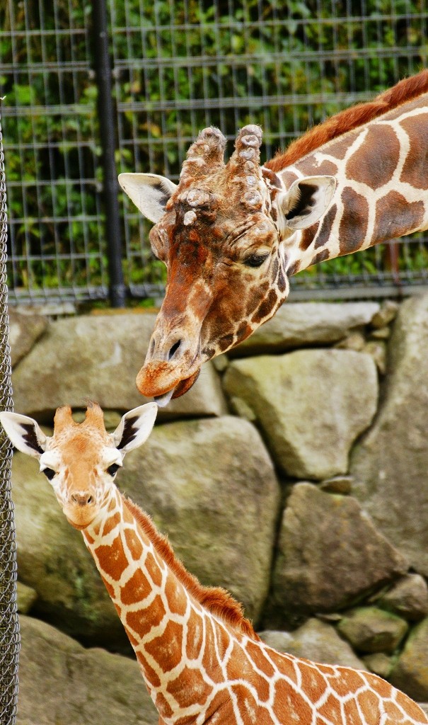 10227883336600042500_hztiagy3la