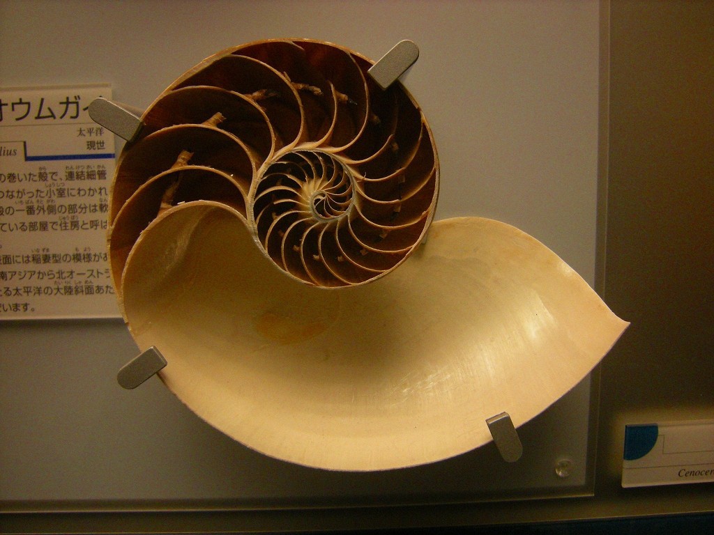 10327441751600042500_mztey6r9la