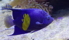 配色の妙　その19