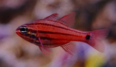 10127514749200042500_flpl3j70la