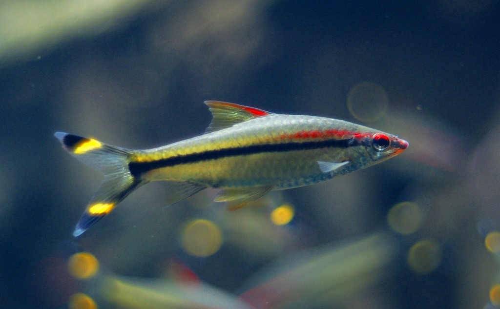 10233551507700042500_cqr0jg57la