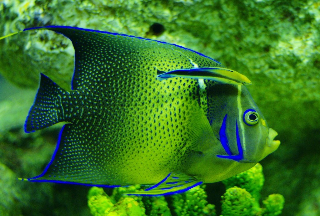 10126673043900042500_x3m978azla