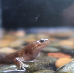 肌に潤いを　その2