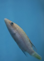 10134793563800042500_kd13tyc3la