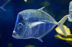 10233492764000042500_xmggfvtfla