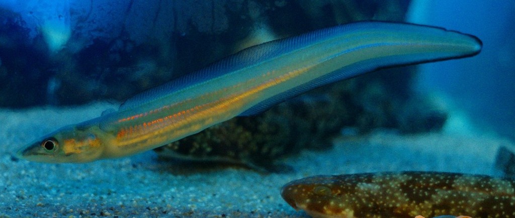 10326063268100042500_jeumc45rla