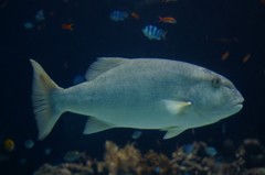 10133139134700042500_4bm8qm5tla