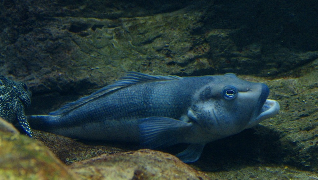 10129977067100042500_w88qexyzla