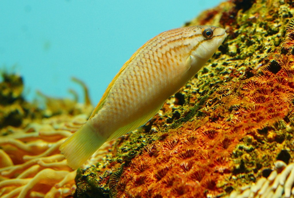 10326270426200042500_mdl9yyrnla