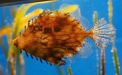 10128515879200042500_m5zgy4rxla