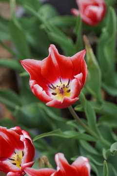 もうすぐ春ですねぇ