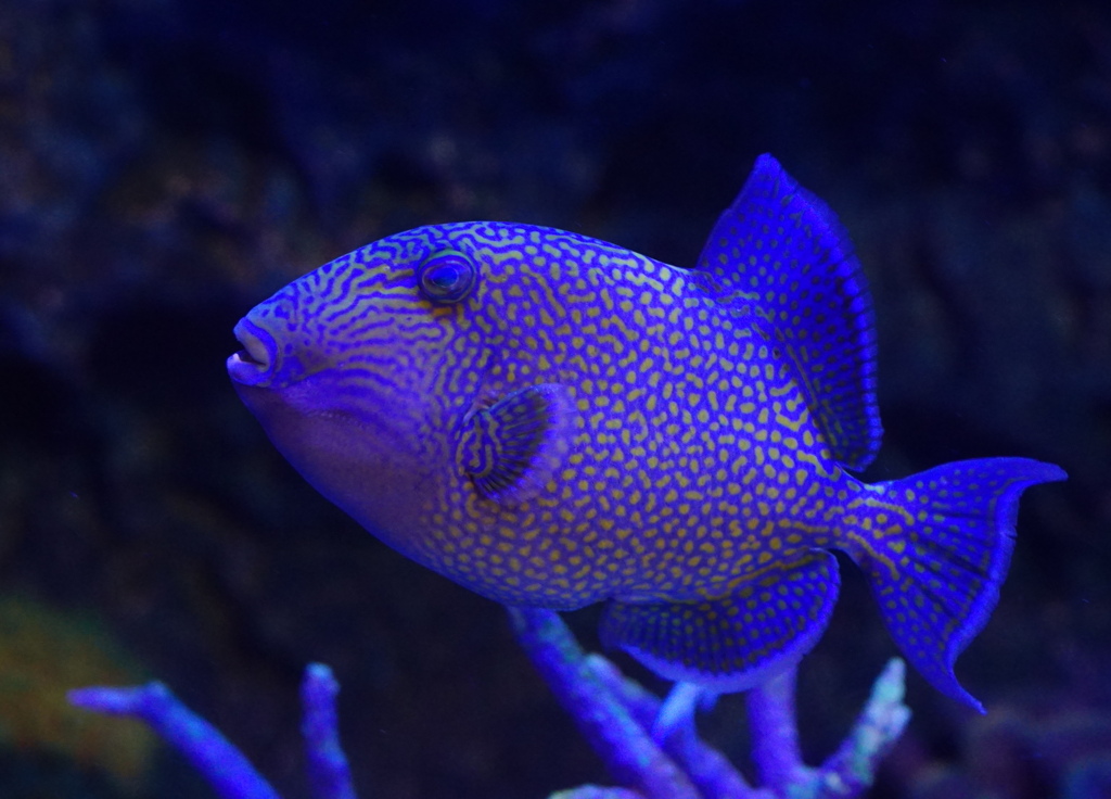 迷路に挑戦　その3