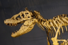 食べちゃうぞ～～　その2