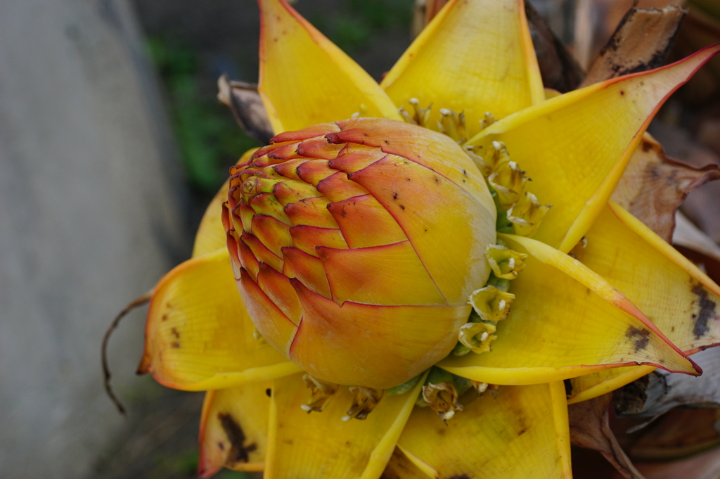 明日への希望　その2