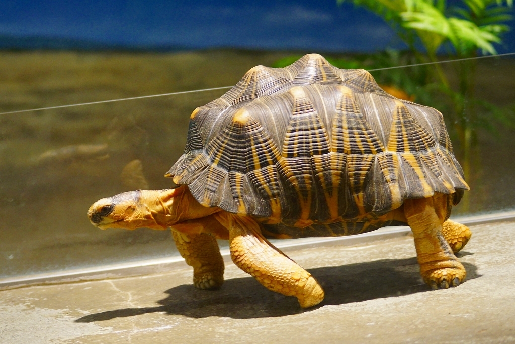 のんびり行こうぜ！　その4