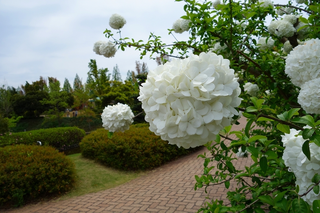 私も撮って　その2