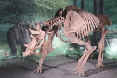 位置について！