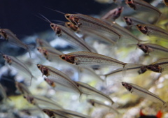 透視能力　その4