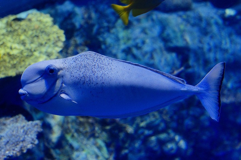 10128871157800042500_33qfl0rnla