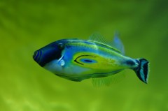 10130296464400042500_unacg5n3la