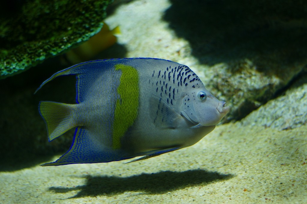 10129890541600042500_qkqwul4ila