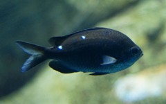 10329985640600042500_cnems74wla