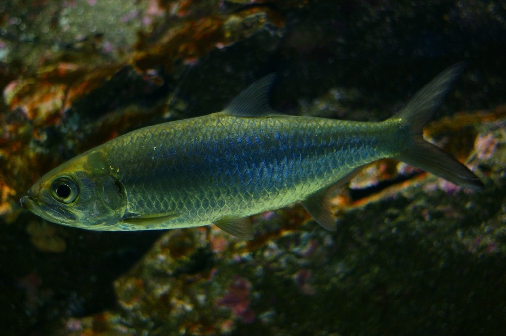 10133839179900042500_rgwjklx2la