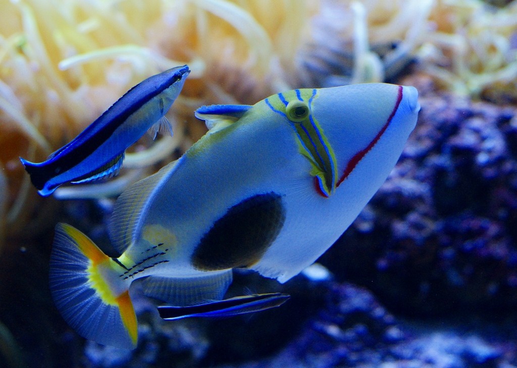 10330250201800042500_m2ds3s04la