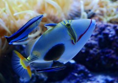 10330250201800042500_m2ds3s04la