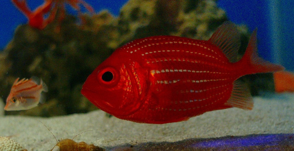 10126814424000042500_drwsmqvvla