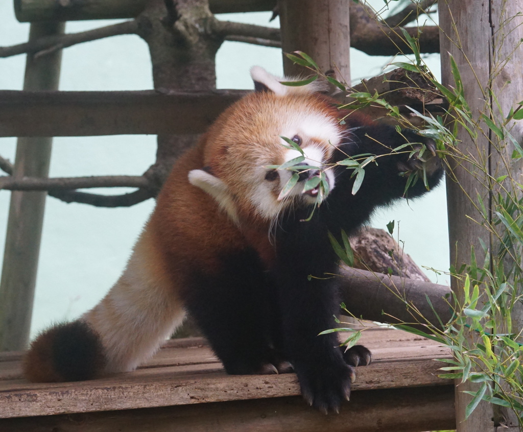 栄養あるんかな？