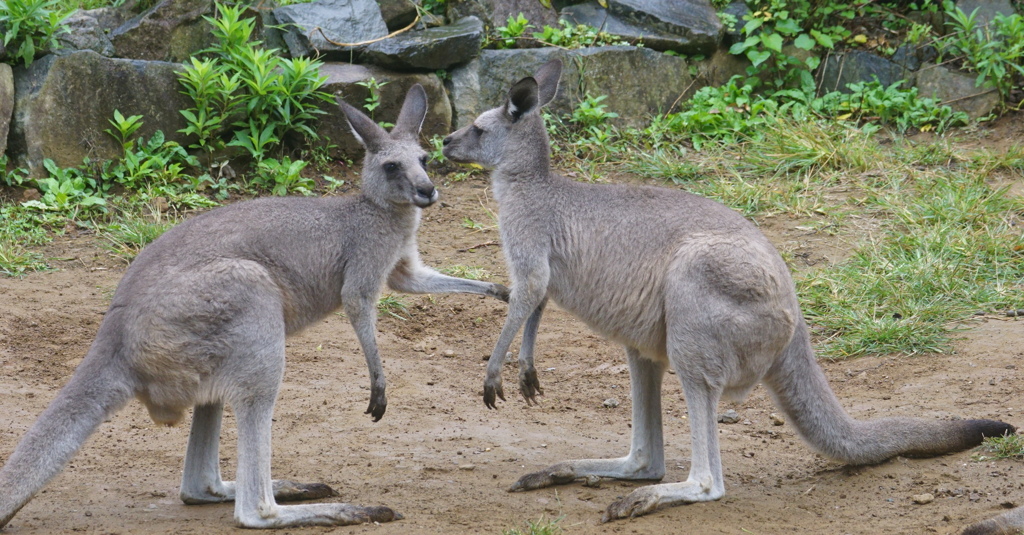 ちょっと、話があってね