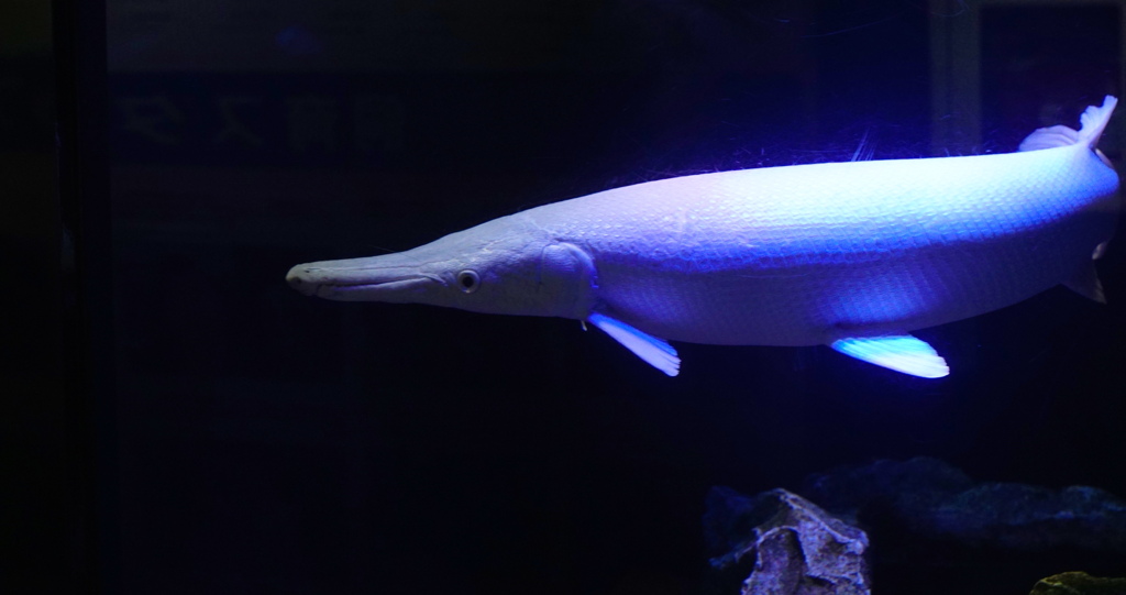 純真無垢　その28