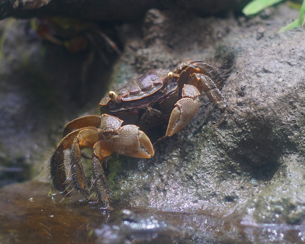 逃げの一歩