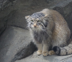 むむ、何奴！？　その4