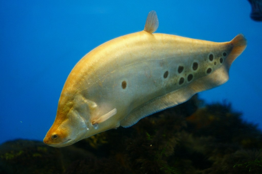 10230771883200042500_j3uv7mp6la