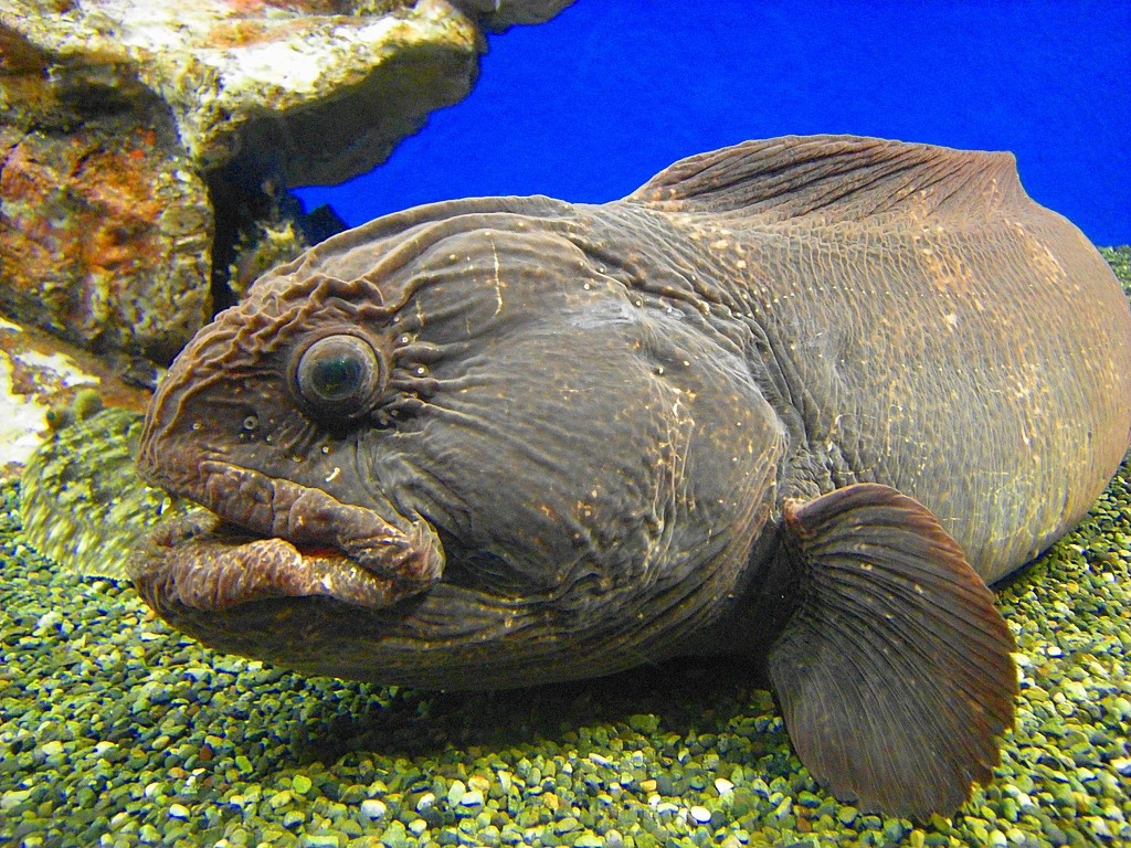 10130250201400042500_2bxw097rla