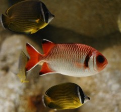 10236110860800042500_c5po5co6la