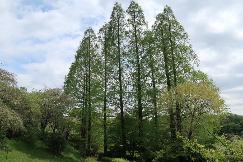 屹立